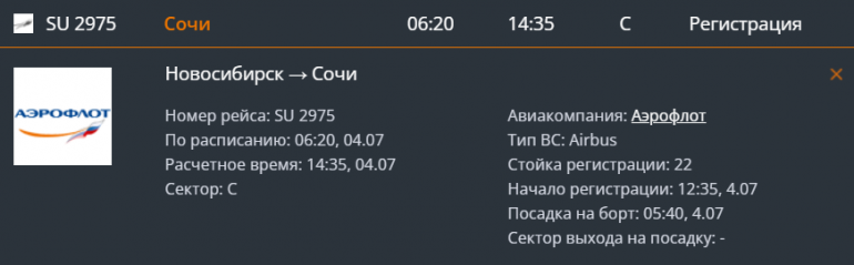 Самолет из Новосибирска в Петербург задержали почти на 7 часов