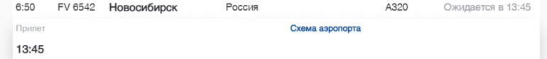 Самолет из Новосибирска в Петербург задержали почти на 7 часов