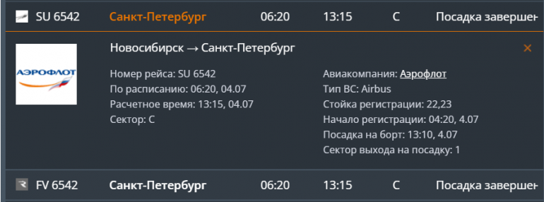 Самолет из Новосибирска в Петербург задержали почти на 7 часов