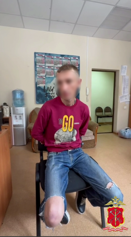 След от поджога машины в Петергофе ведет к мужу ее владелицы