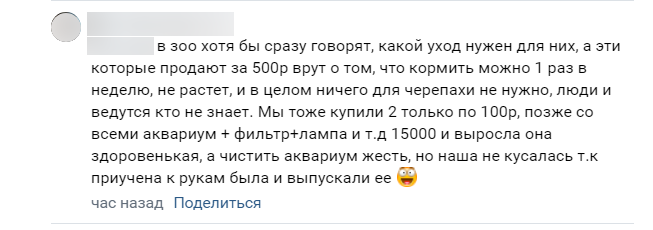 «Рвут панцирь за ВДВ». Читателей Мойки78 задела за живое продажа черепах у «Беговой»
