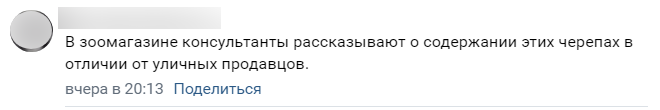 «Рвут панцирь за ВДВ». Читателей Мойки78 задела за живое продажа черепах у «Беговой»