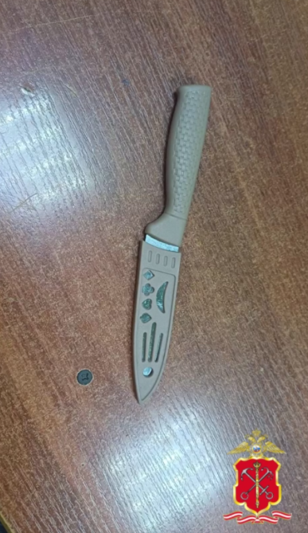 Мужчина с ножом забрал товаров на 158 рублей из магазина на Фонтанке