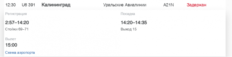 В Пулково «Россия», S7 и «Уральские Авиалинии» задерживают рейсы до МинВод, Сочи и Иркутска