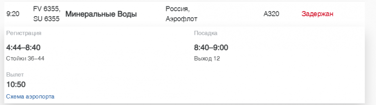 В Пулково «Россия», S7 и «Уральские Авиалинии» задерживают рейсы до МинВод, Сочи и Иркутска