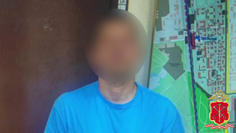 Полиция показала того, кто пробрался в квартиру программиста и вынес 850 тысяч