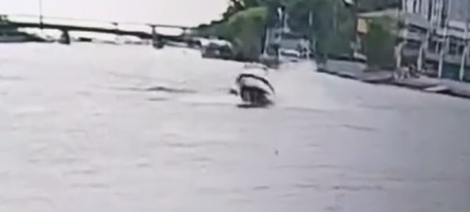Появилось видео ДТП гидроцикла с катером у Лазаревского моста