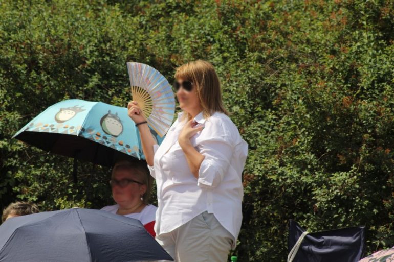 Фестиваль «Свинг белой ночи - 2024» слушали даже в Летнем саду