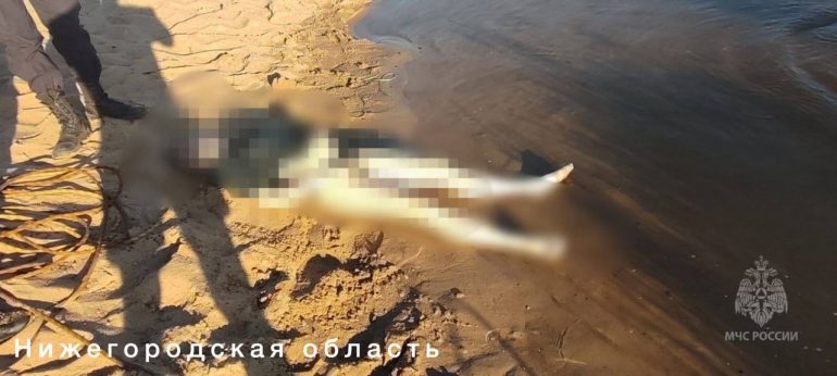 МЧС сообщило о 42 утонувших в водоемах за сутки