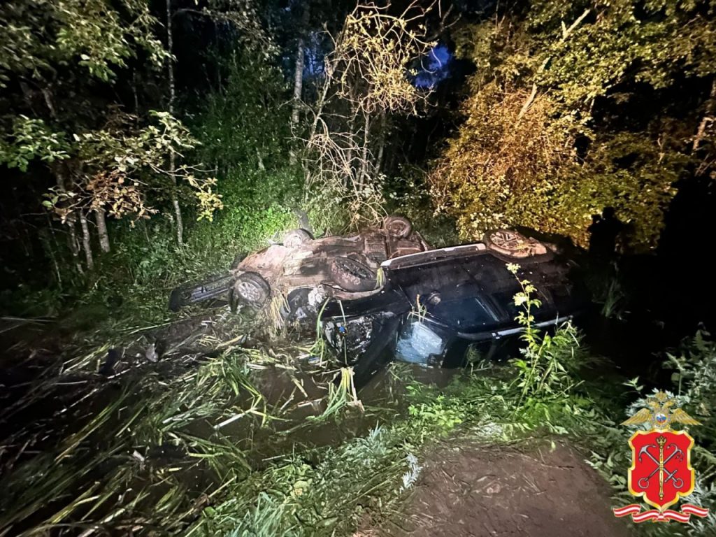 Под Гатчиной водитель с 98 нарушениями ПДД попал в ДТП, есть погибший