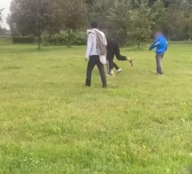 Задержаны еще двое подростков, избивавших юношу в Полюстровском саду