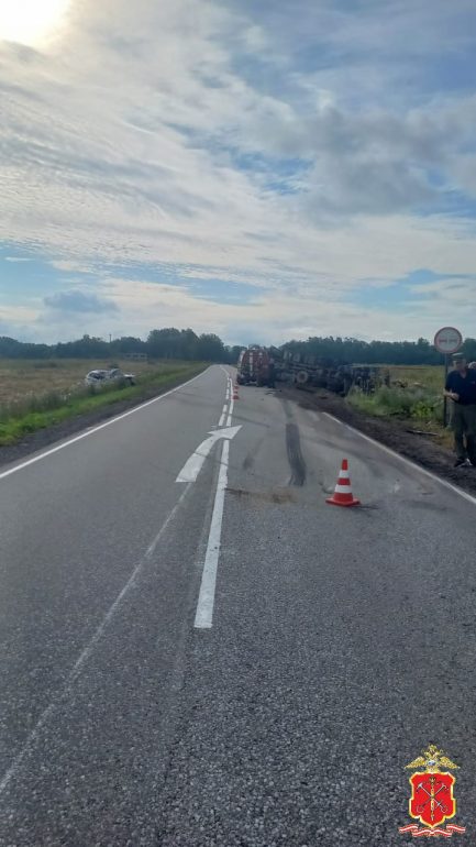 Водитель «Мицубиси» погибла в ДТП с лесовозом под Лугой