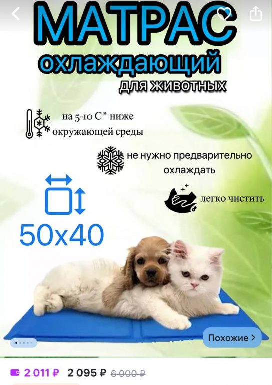 Как в жару охладить собаку и кошку