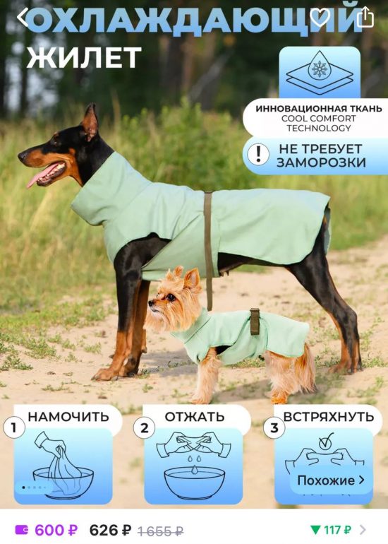 Как в жару охладить собаку и кошку