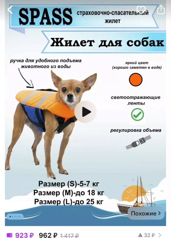 Как в жару охладить собаку и кошку