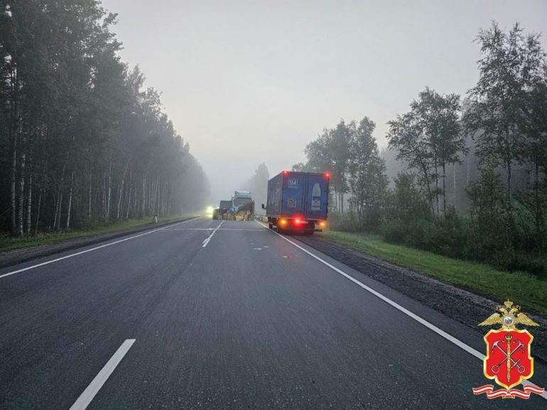 Появились подробности ДТП с бензовозом и двумя грузовиками на Мурманском шоссе