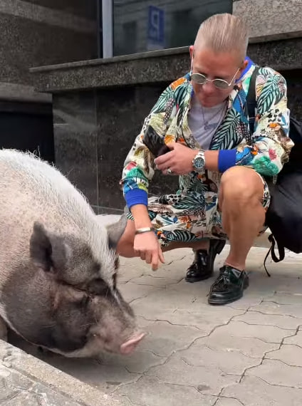 Митя Фомин увидел свинью Иннокентия в Петербурге