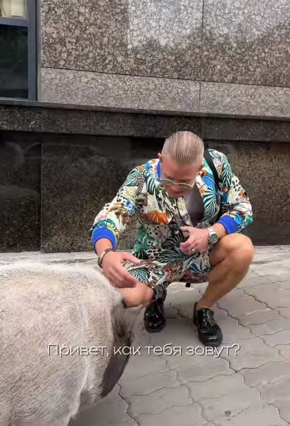 Митя Фомин увидел свинью Иннокентия в Петербурге