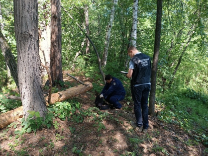 Падение дерева на палатку привело к смерти ребенка под Челябинском