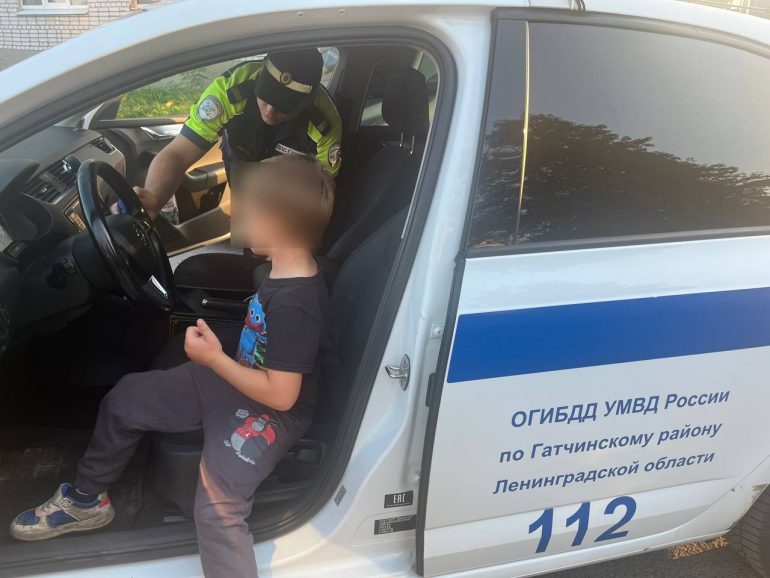 В Гатчине полицейские спасли задыхавшегося из-за укуса осы мальчика