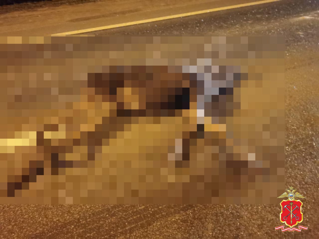 На Мурманском шоссе «Порше Бокстер» насмерть сбил лося