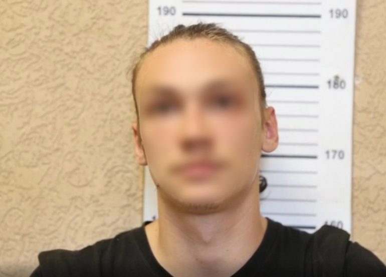 Задержан скейтер, разбивший лобовое автобуса в Сестрорецке