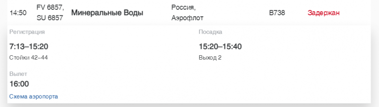 В Пулково S7 и «Аэрофлот» задерживают рейсы до Иркутска, Сочи и Турции