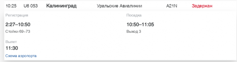 В Пулково «Уральские Авиалинии» и «Ай Флай» задержали рейсы до Сочи и Екатеринбурга