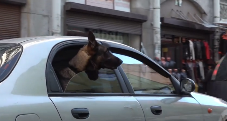 Полиция провела рейд в Апраксином дворе