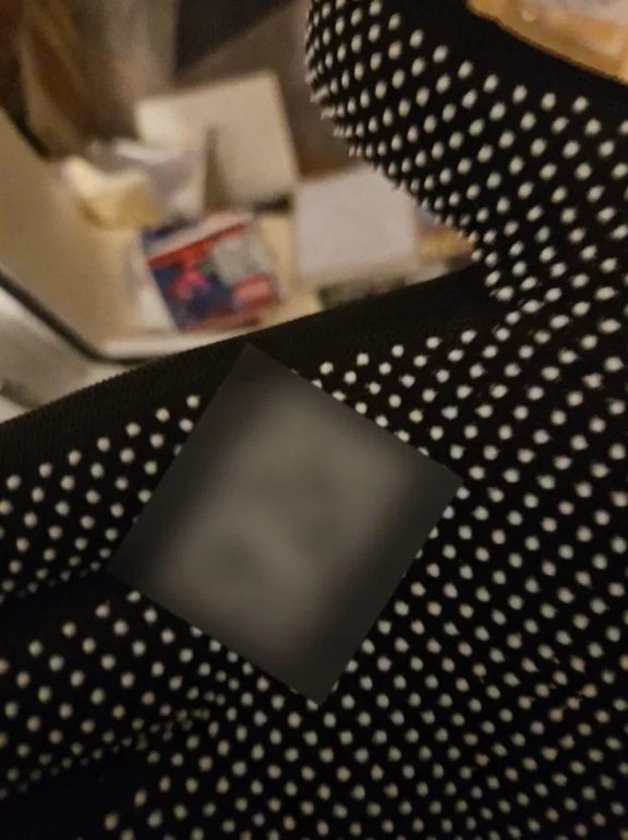 Рекламирующую наркотики через концерт Канье Уэста петербурженку отправили под домашний арест