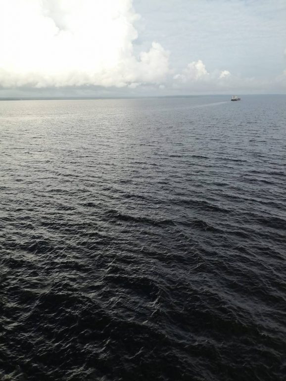 Для снятия в Ладоге с мели теплохода «К. А. Тимирязев» отправили буксир