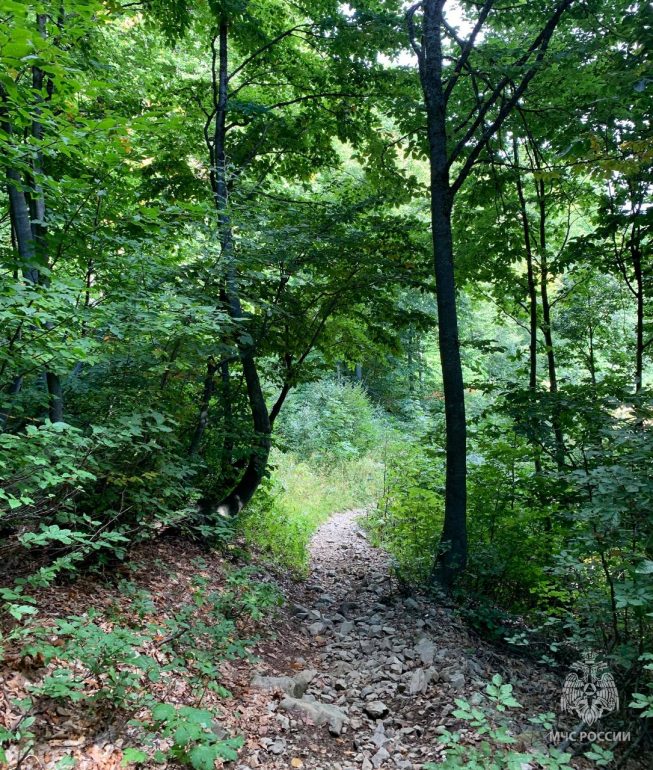 В Сочи спустя три дня сотрудники МЧС нашли заблудившуюся в горах пенсионерку