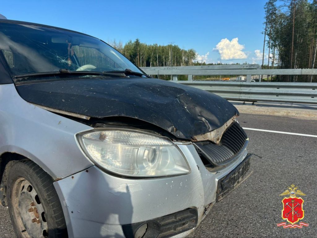 После гибели мальчика в ДТП на трассе под Петербургом возбудили дело