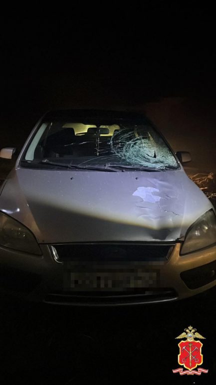 Пьяный водитель «Форда» сбил регулировщика под Гатчиной