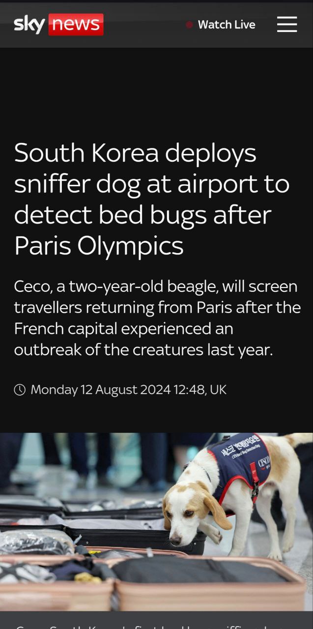 В Южной Корее пес обнюхивает пассажиров на клопов после Олимпиады в Париже