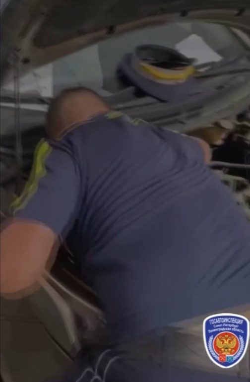 На пересечении Баскова и Короленко сотрудники ГАИ спасти застрявшего под капотом котенка