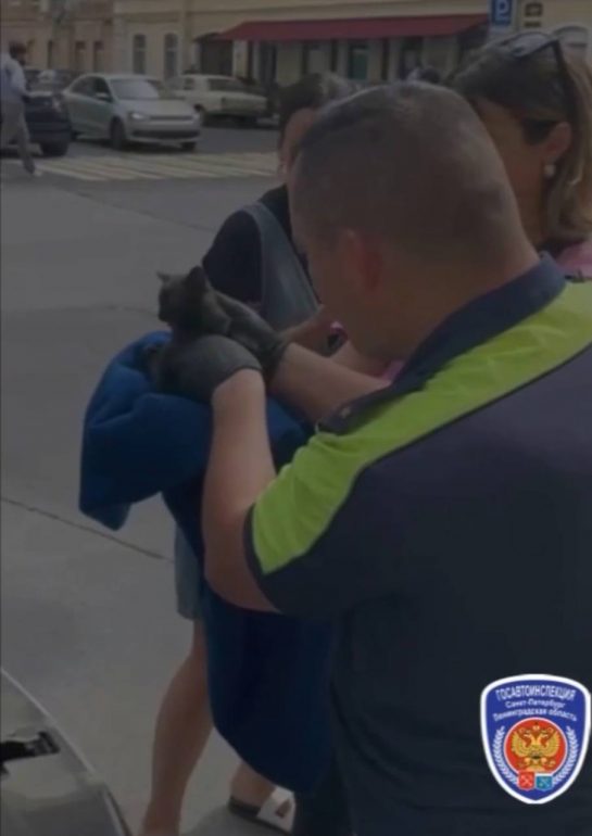 На пересечении Баскова и Короленко сотрудники ГАИ спасти застрявшего под капотом котенка