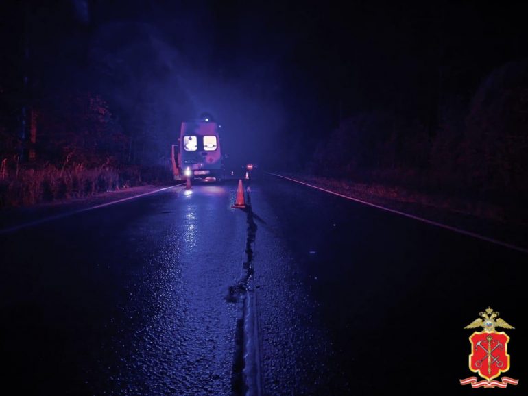 «Форд» насмерть сбил пешехода на дороге под Гатчиной