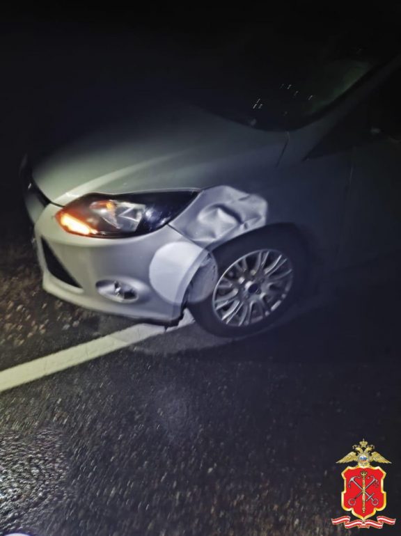 «Форд» насмерть сбил пешехода на дороге под Гатчиной