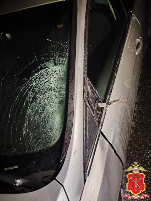 «Форд» насмерть сбил пешехода на дороге под Гатчиной