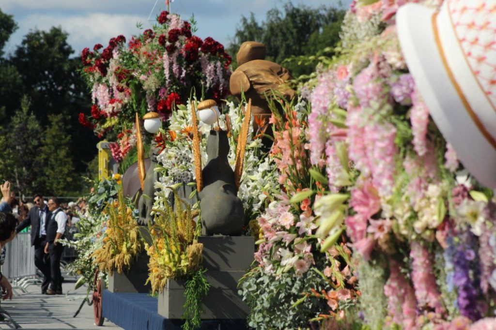 Алые паруса из антуриумов и чай из роз у СКА Арены, где идет фестиваль цветов