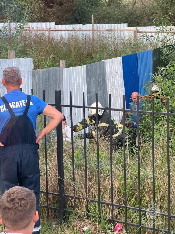 Двух школьниц затянуло в болото в Калининграде