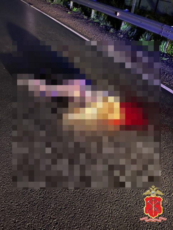 «Киа» насмерть сбила женщину на дороге в поселке Аннино