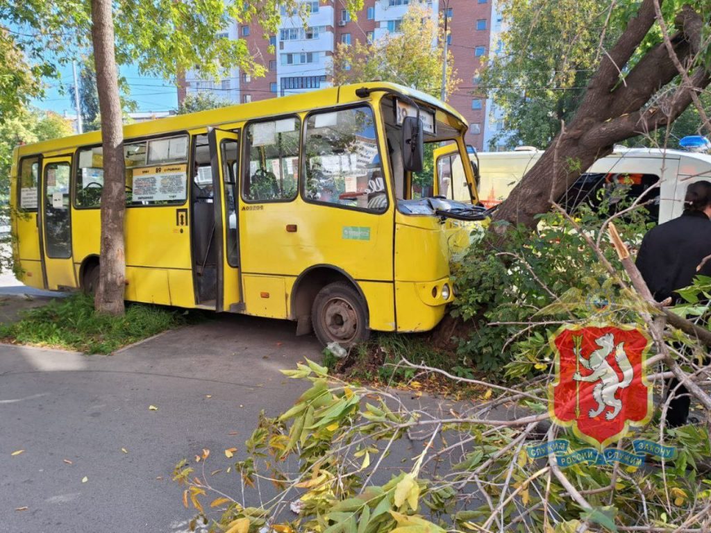 В Екатеринбурге автобус врезался в дерево, пострадали пятеро