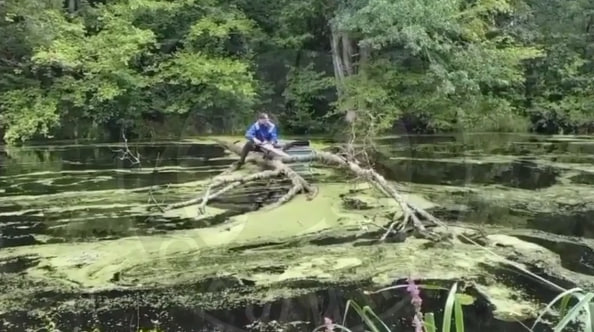 «Русская община» помогает дачникам в садоводстве «Сатурн» под Лугой с завалами после разлива реки