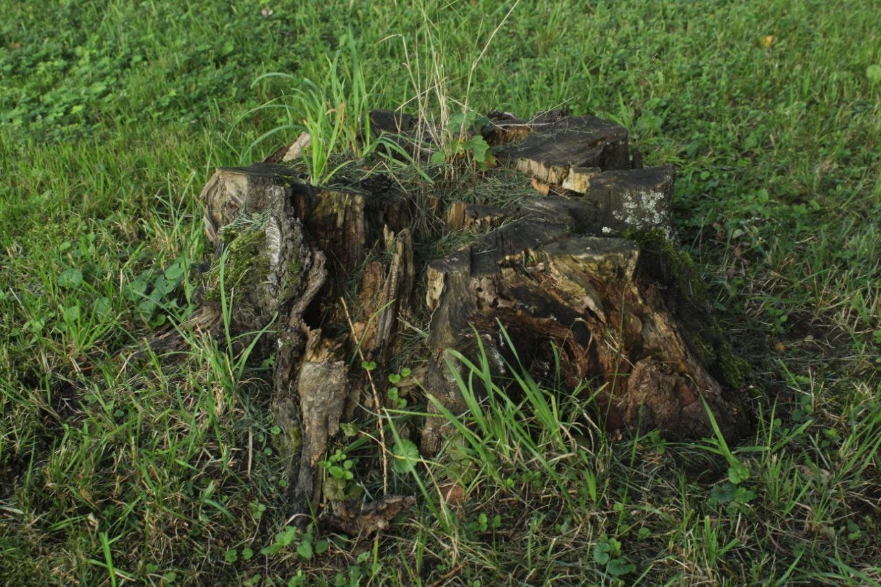 Осыпавшиеся пропилеи Пискаревского кладбище, куда часто приезжает Путин, подлатали, но как-то криво
