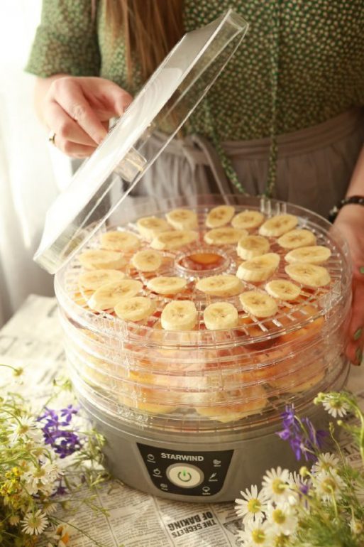 Экологичная жизнь на даче: советы и лайфхаки для заботы о природе