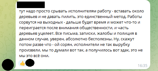 Жильцы ЖК «Артлайн» на Торфяной после сноса деревьев будут смотреть на могилы Серафимовского кладбища