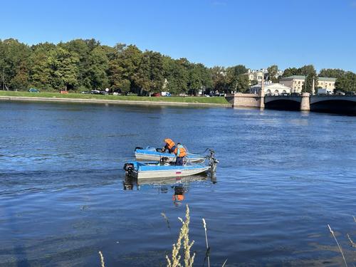 В Малой Невке перед зимой косят водоросли, из бюджета на чистку водоемов выделили 259 млн