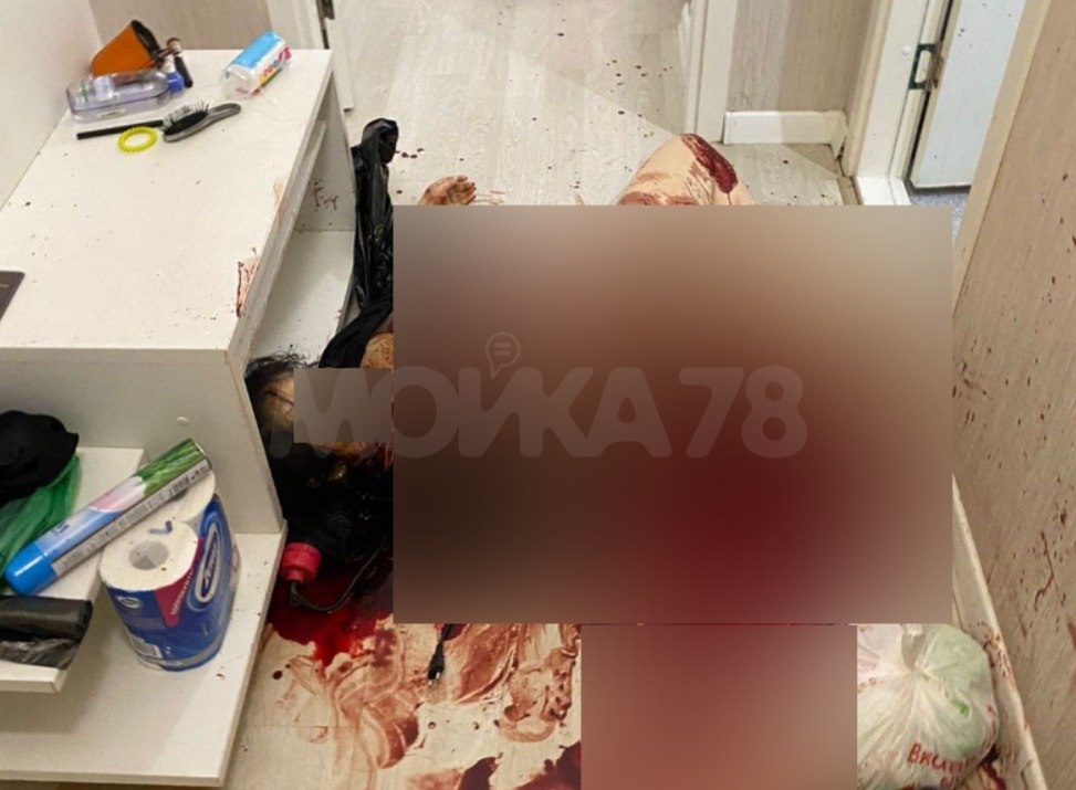 Мигранта из Узбекистана задержали за убийство "жрицы любви" в апарт-отеле на Пулковском шоссе